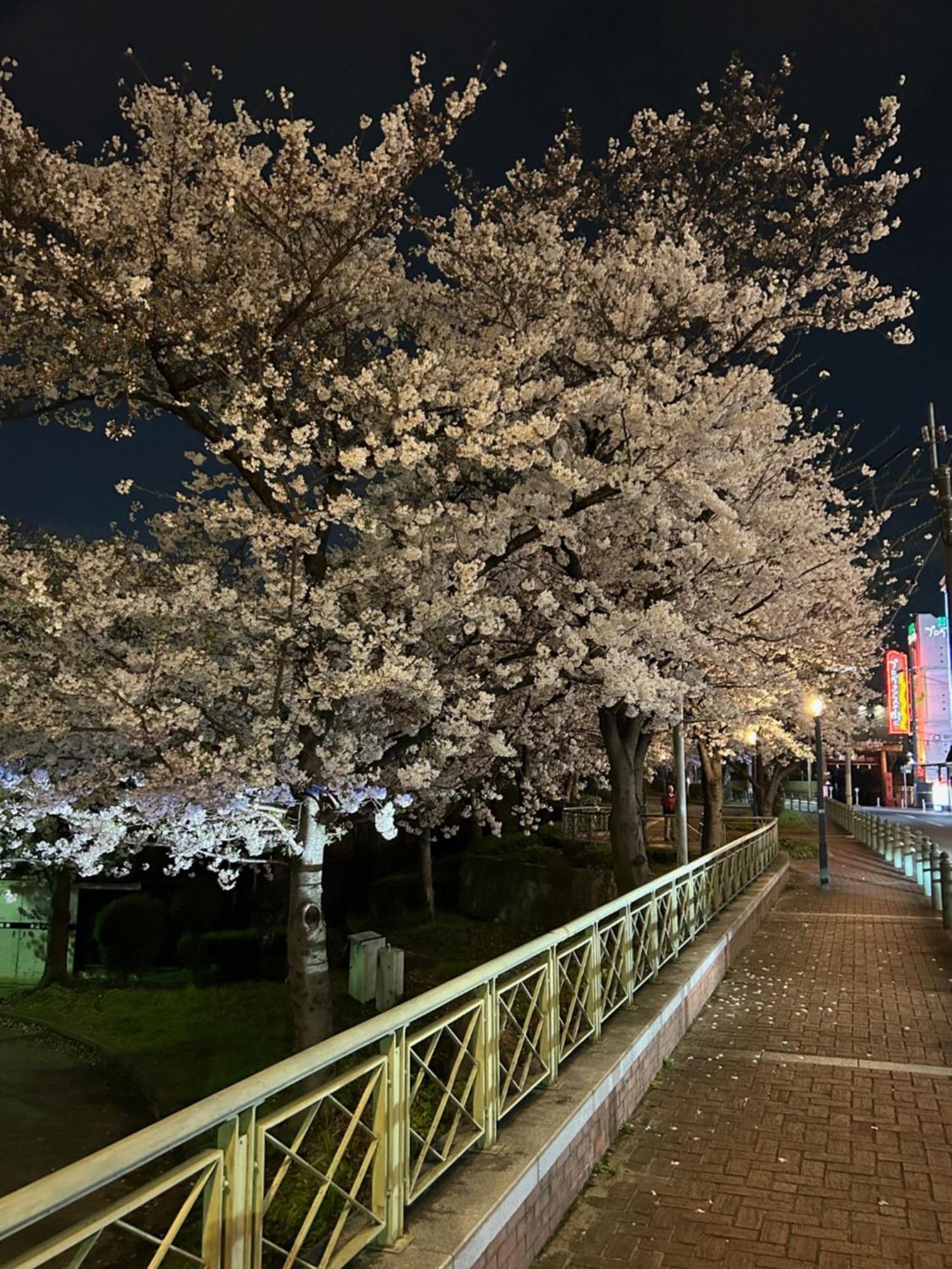 Liebeshotel Noah Grande (adults Only) Ōsaka